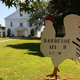 Image for article titled Hackers Allegedly Stole Over 3 Million Customer Credit Cards From Dickey's Barbecue Pit